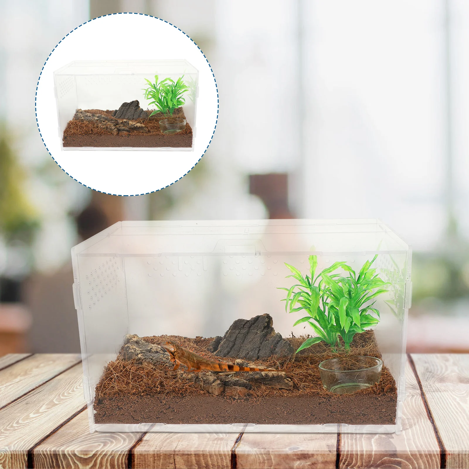 

Reptile Enclosure Small Reptile Mantis Container Insect Box Reptile Breeding Box Reptile Enclosure
