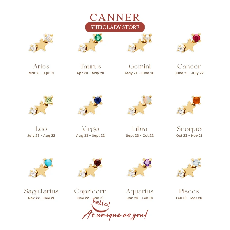 

CANNER 12 Constellations Earrings Silver 925 Earring For Women Stud Earrings Star Piercing Wedding Party Fine Jewelry Zirconia