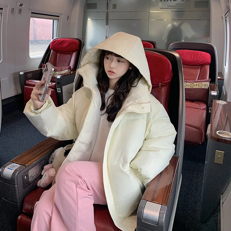 Рисунок 4 - Зимняя новая свободная тонкая пуховая куртка