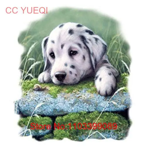 Модные размеры/цвета футболок