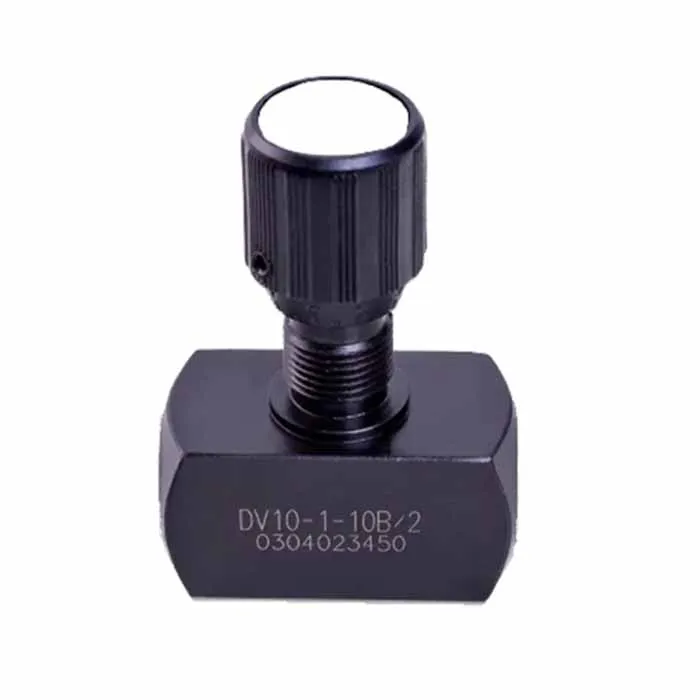 

DV Series DV6 DV10 DRV6 DRV10 check valve with