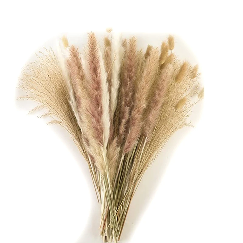 

70 Pcs Dried Pampas Grass Decor, 17.5 Inch Natural Pompous Grass, For Home & Wedding Boho Decor And Flower Arrangement