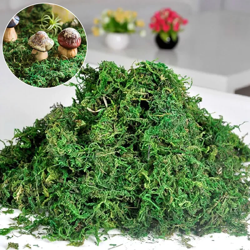 

20g/50g/100g High Quality Artificial Moss Simulation Fake Green Plants Moss Home Decorative Wall DIY Micro Landscape Accessories