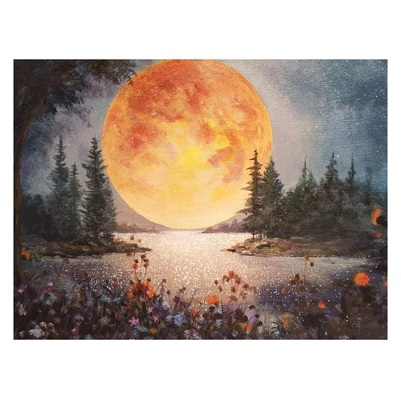 

Набор для алмазной живописи «полная луна»
