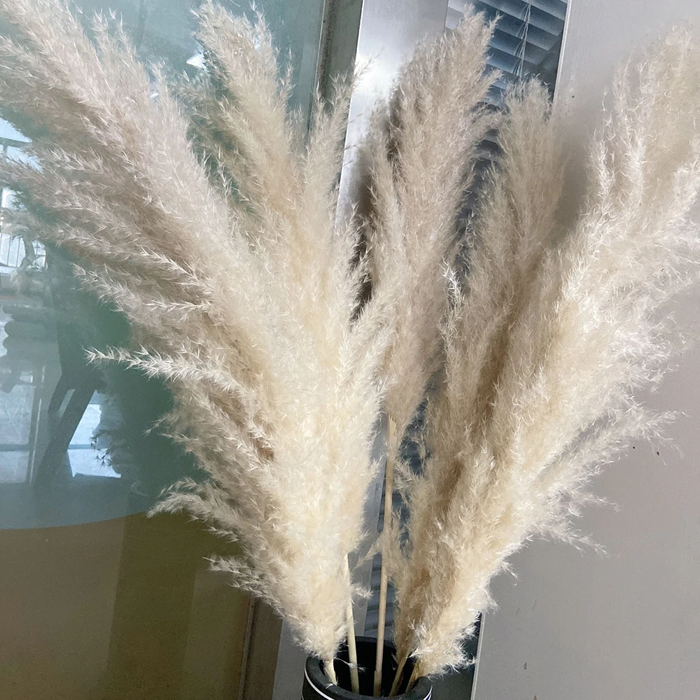 

10Pcs Natural Pampas Decoration Fluffy Dry Flower Living Room Pampas Grass Bouquet Boho Wedding Arrangement Floral Decorations