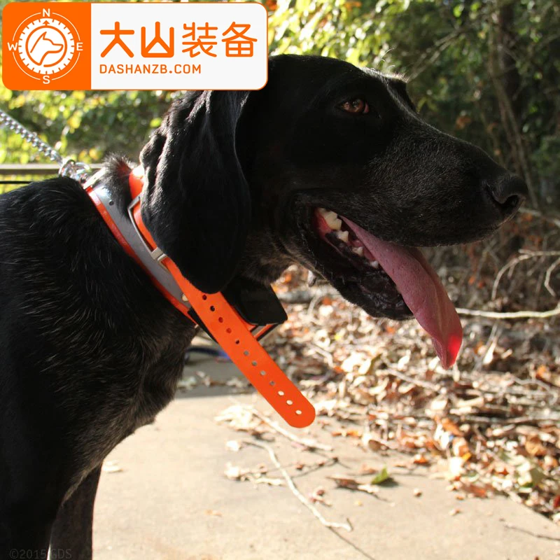 Ошейник Для Собак Астра 430 Купить