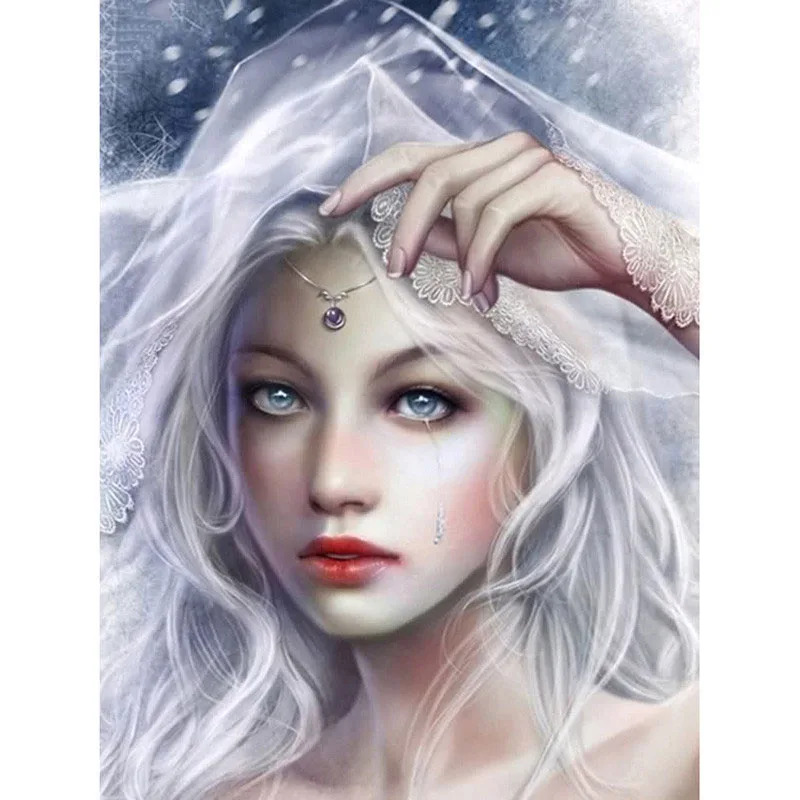 

Full Square drill 5D DIY Diamond embroidery Snow bride Diamond Painting Cross Stitch Rhinestone Mosaic decor