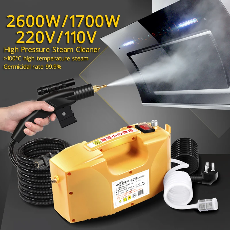 

Handheld Steam Cleaner High Pressure 110V/220V High Temperature Steaming Cleaner for Home Air Conditioner Cleaning Machine