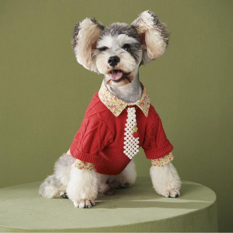 

Fashion Pet Dog Clothes Autumn Winter Solid Color Knit Sweater Dog Sweater Suitable for Small Dog Pet Clothes Soft Dog Clothing