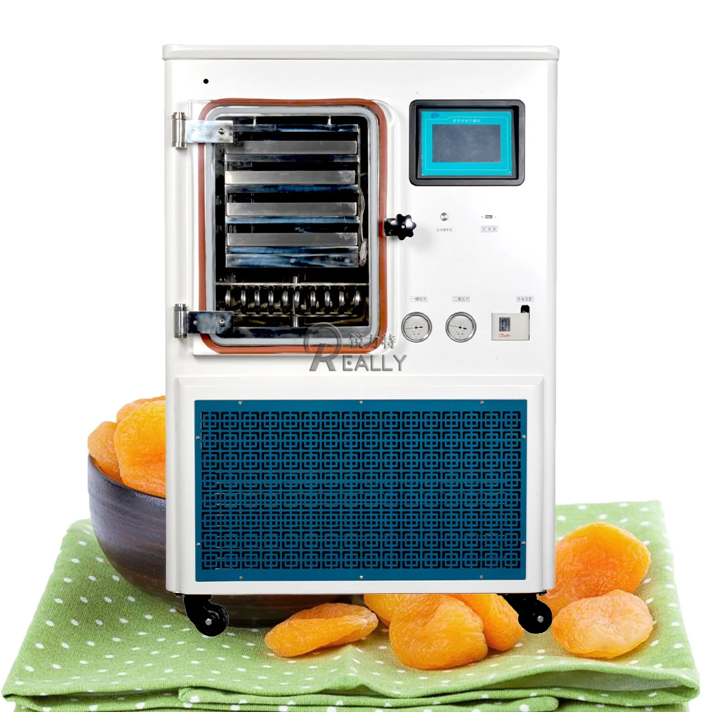 High Quality Food Freeze Dryer Fruit Freeze Drying Machine for Sale With Best Price
