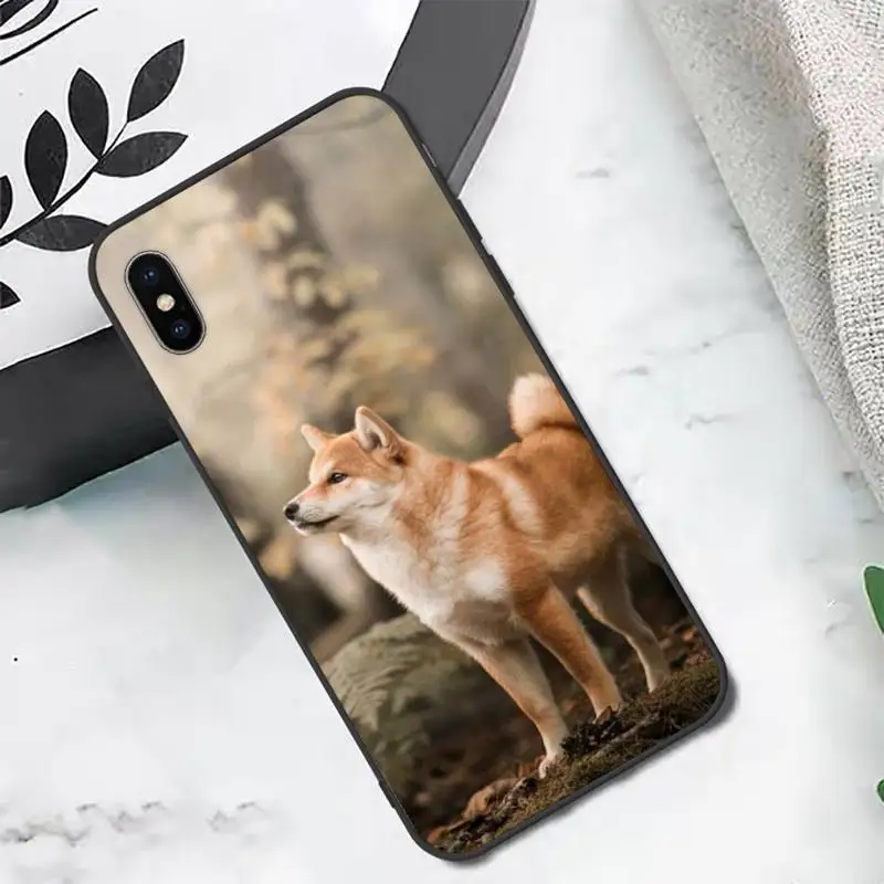 Чехол для телефона Corgi Shiba inu Dog с милыми животными iphone 12 11 13 7 8 6 s plus x xs xr pro max mini |