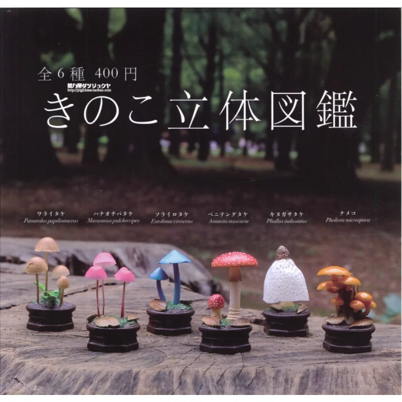 

QUALIA Gachapon Capsule Toy Simulation of Wild Mushroom 3D Mushrooms Model Miniature Gashapon Ornaments