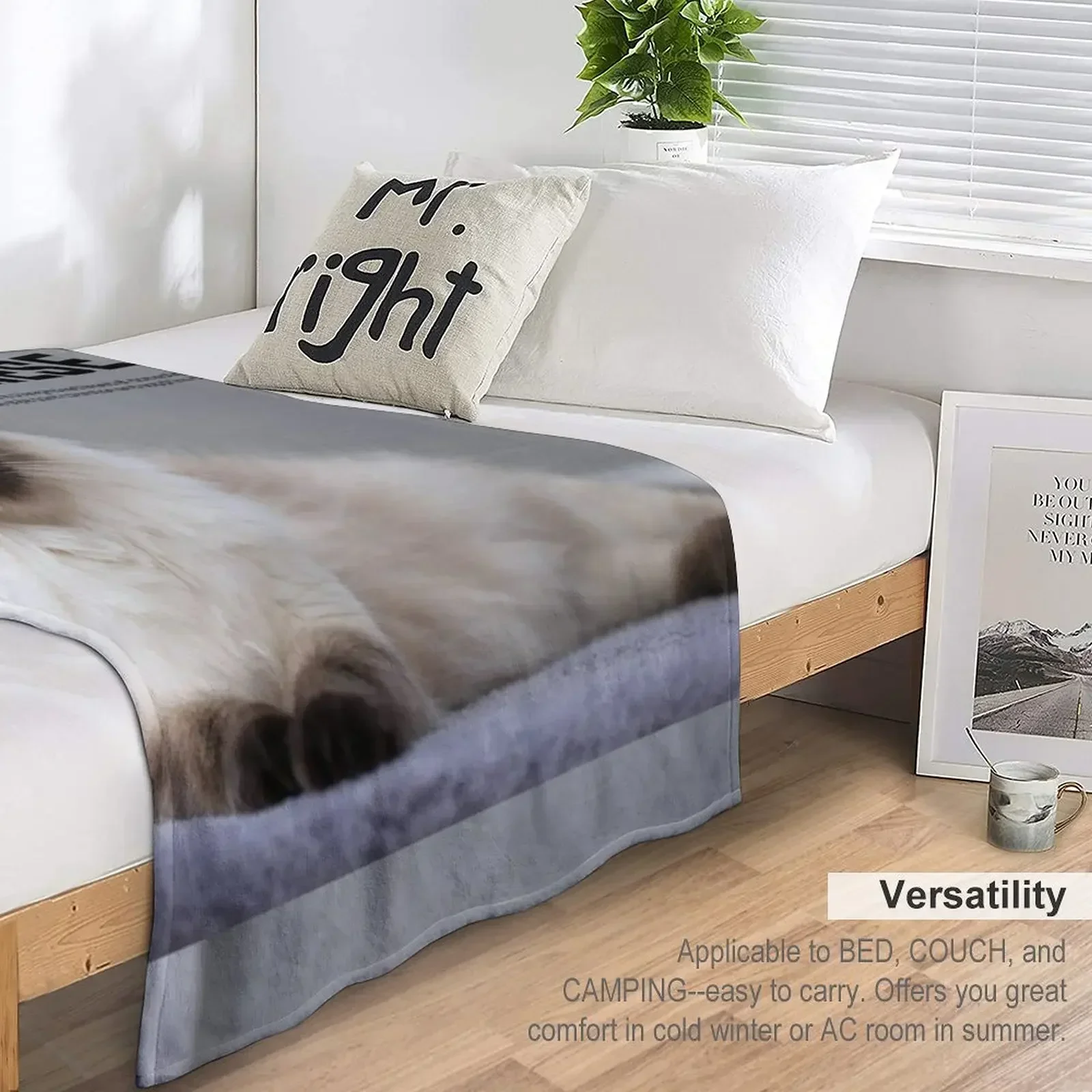 Одеяло из породи балийского кота мягкие кровати роскошные плед на диване одеяла