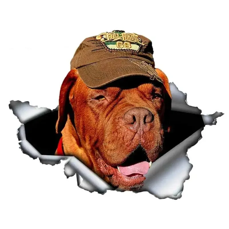 

13 см подарок для собаки Dogue De Bordeaux, автомобильная наклейка, 3D рваная металлическая наклейка, оригинальный дизайн, виниловый багажник автомобиля, бампер, индивидуальная брендовая наклейка
