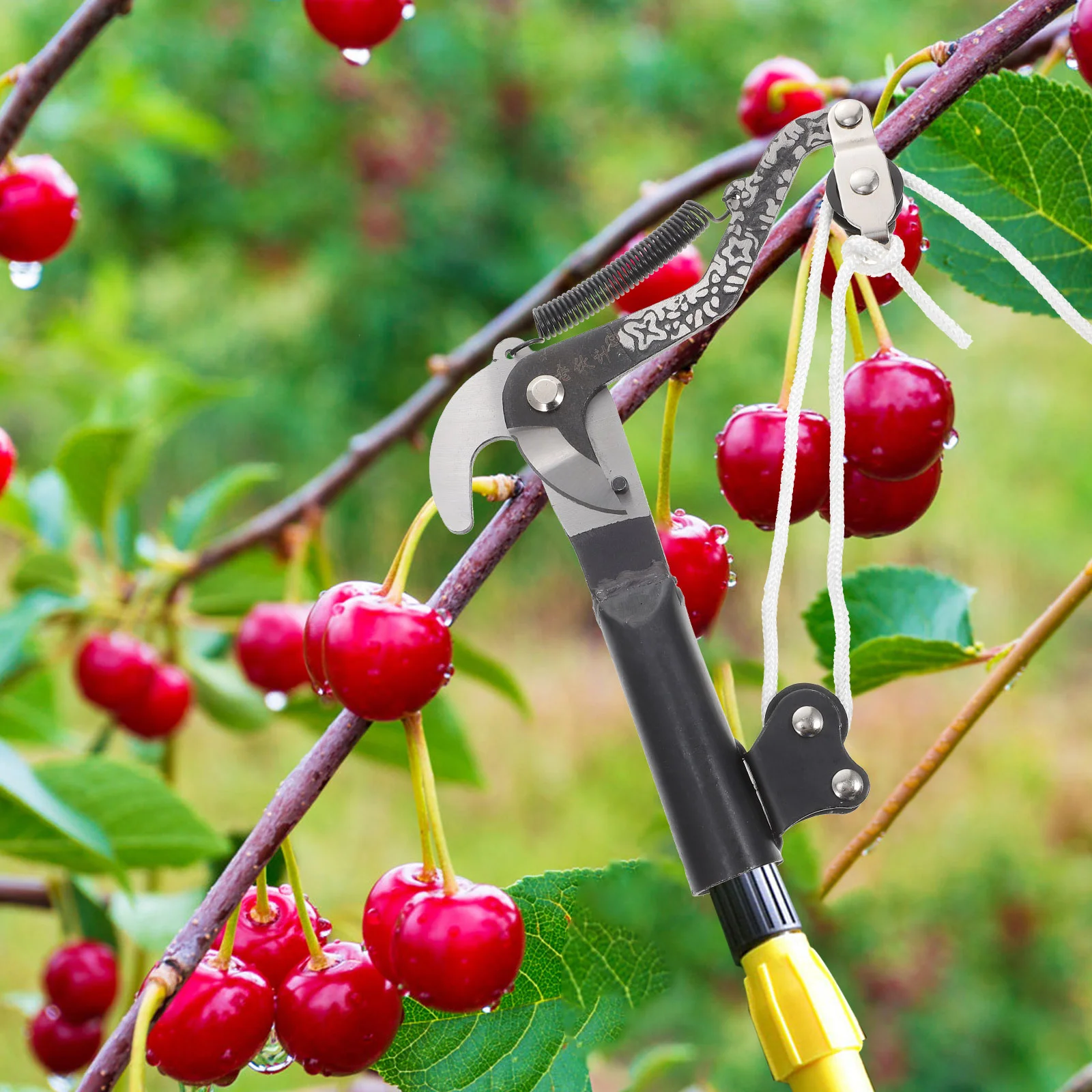 

High Shear Harvester Pole