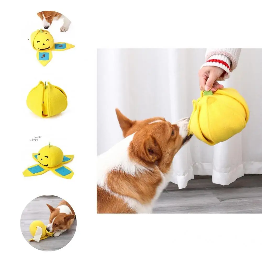 

Educational Multi-use Bright Color Smell Training Toy Interactive Smell Training Toy Transformable Dog Supplies