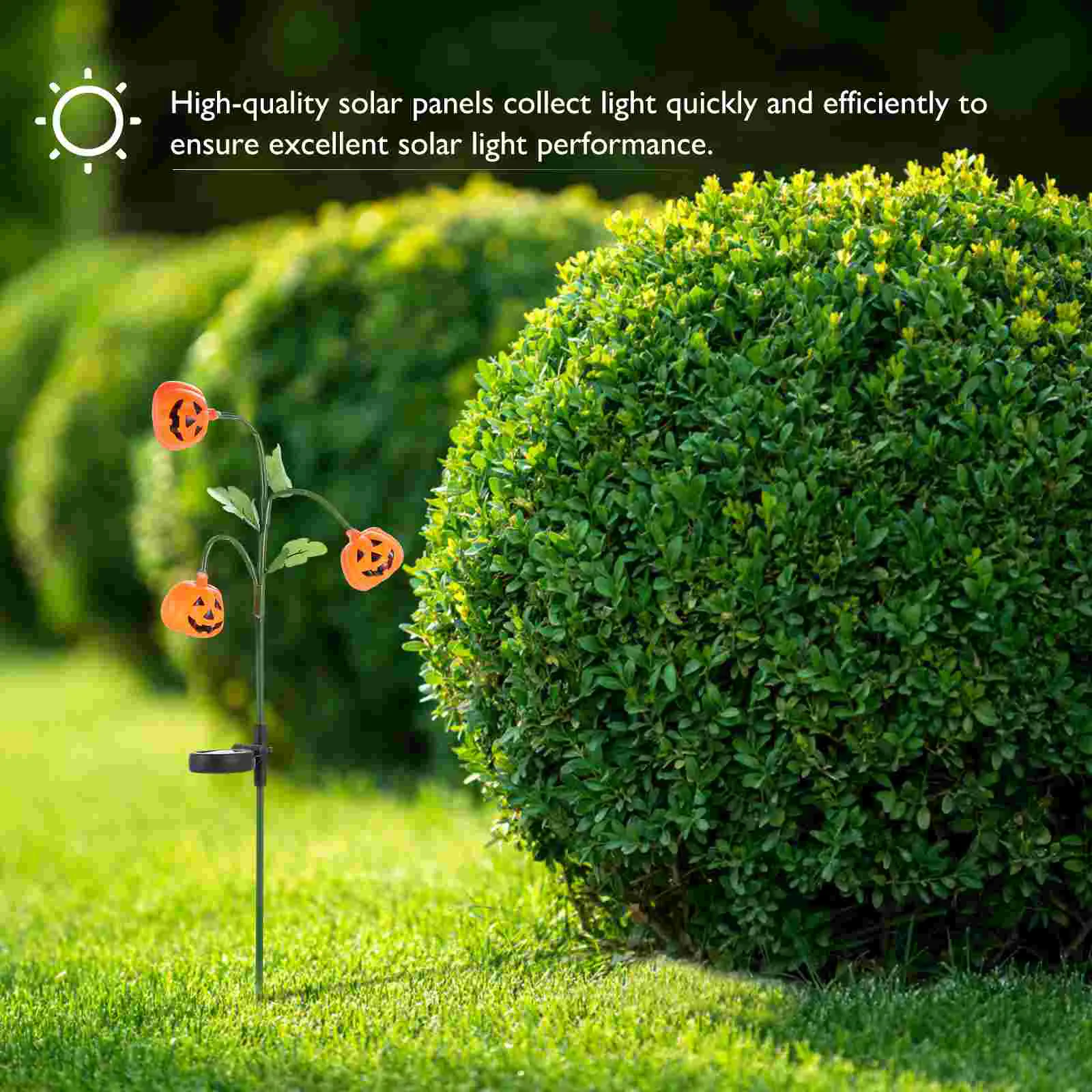 Рисунок 5 - Тыква, садовая стойка