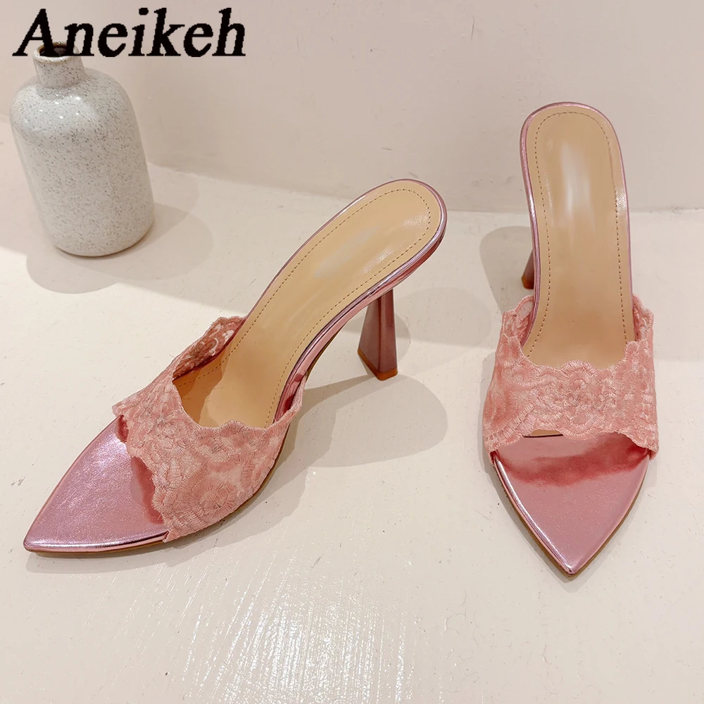 Женские шлепанцы с острым носком Aneikeh кружевные дизайнерские пикантные летние