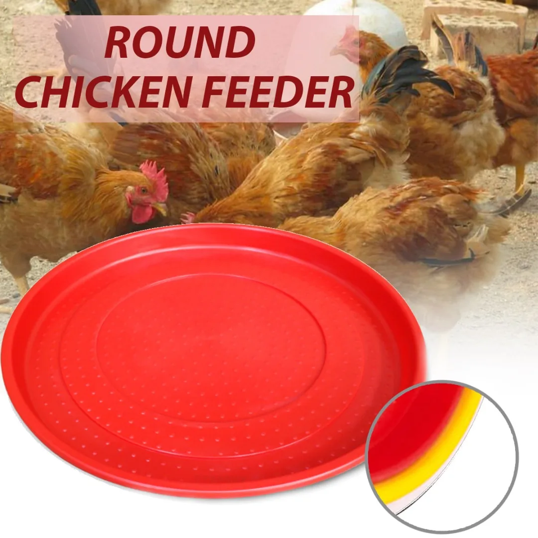 

1 шт., поднос для кормления птиц, цыплят