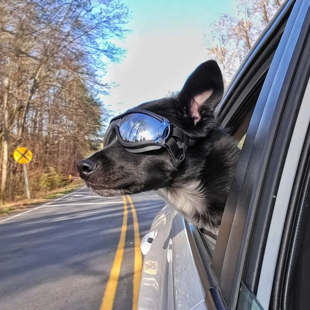 

Cool Dog Sunglasses Fashion Cats Protection Goggles Pet Eye Wear Swimming Waterproof Eyewear Anti-Uv Sun Glasses Dog Accessories