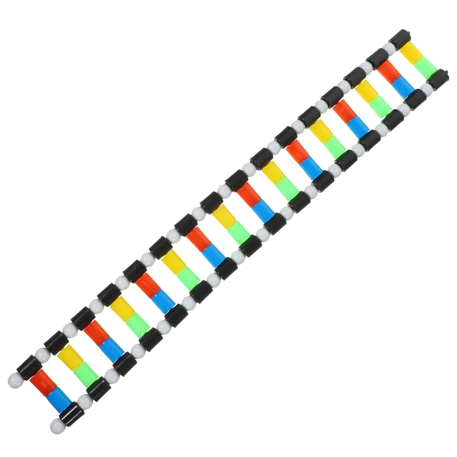 

DNA Model Double Helix Model DNA Display Component for Science Teaching Display