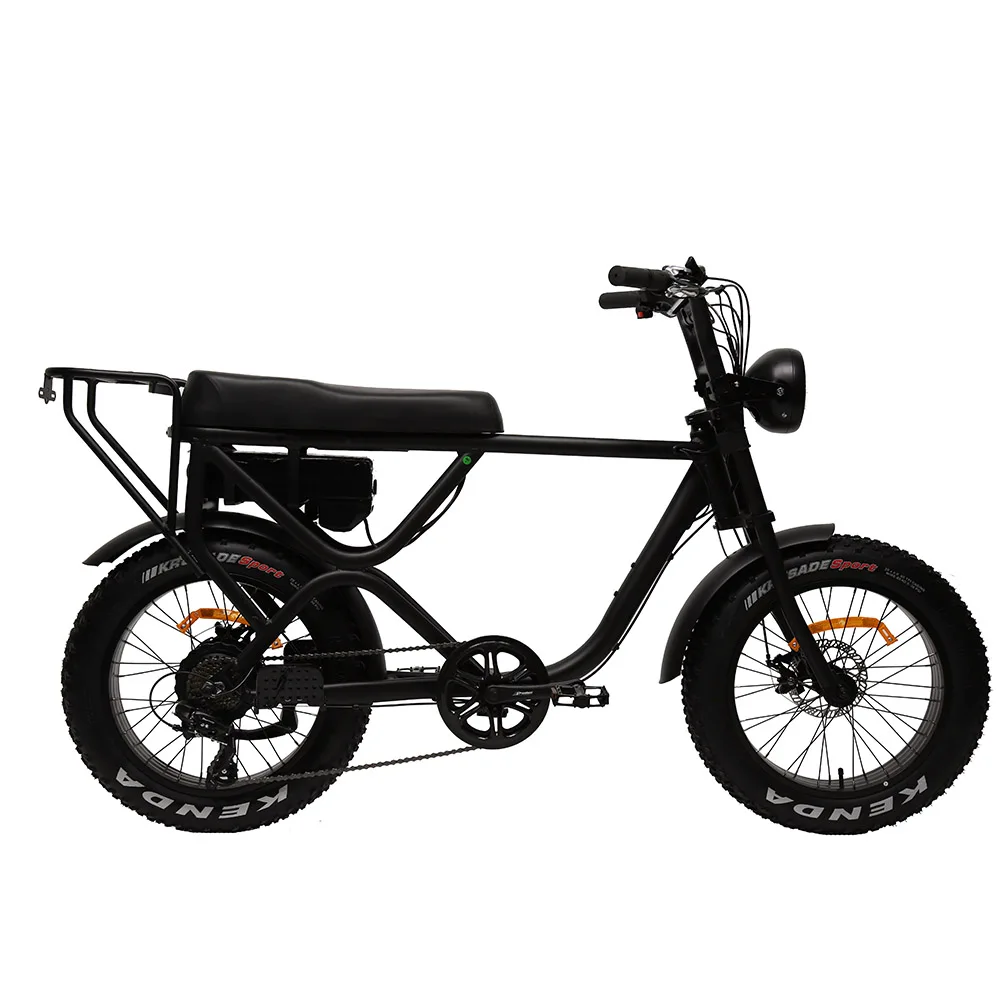 

Competitive Price Aluminum Alloy 31 - 60 Km Lithium Battery Multipurpose 7speed E Bike Fat Tire