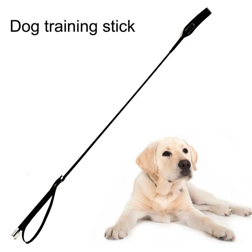 

Dog Whip Pet Beating Stick Interactive Dog Training Supplies Equipment Interactive Toys Flexible Safe Bite Resistant Accessories