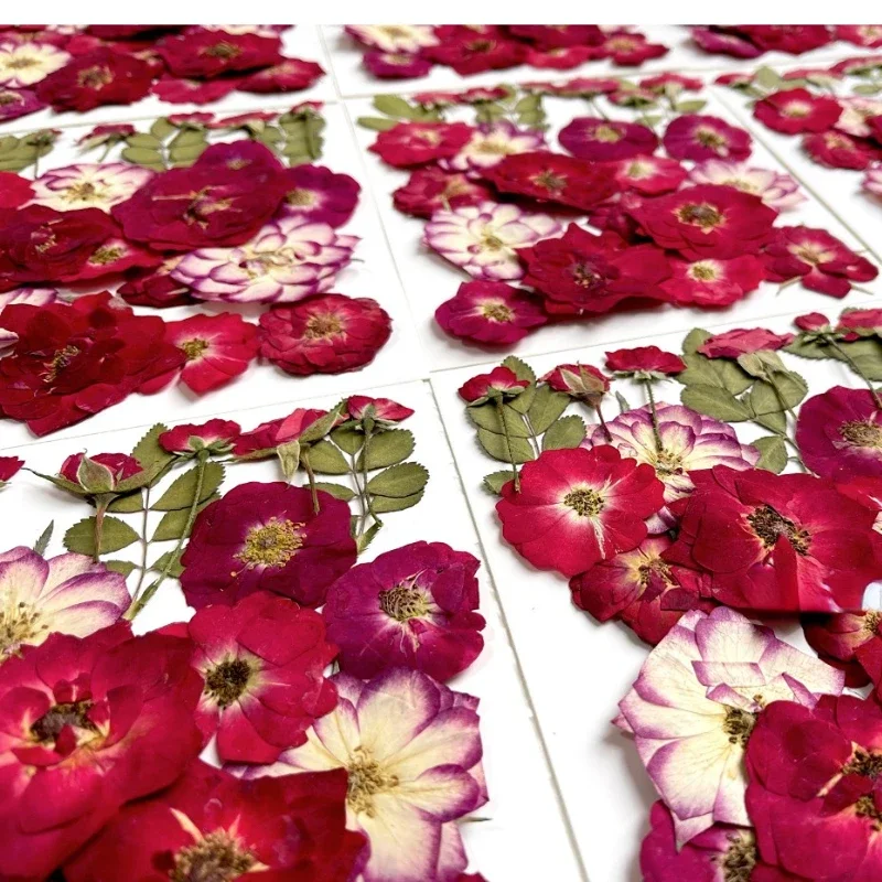 24 шт./пакет рельефная комбинированная Цветочная рамка в виде Розы