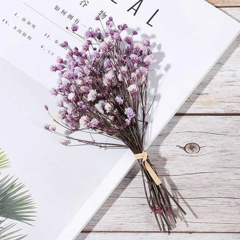 Цветные сушеные цветы маленькие Натуральные миниатюрные настоящие букеты