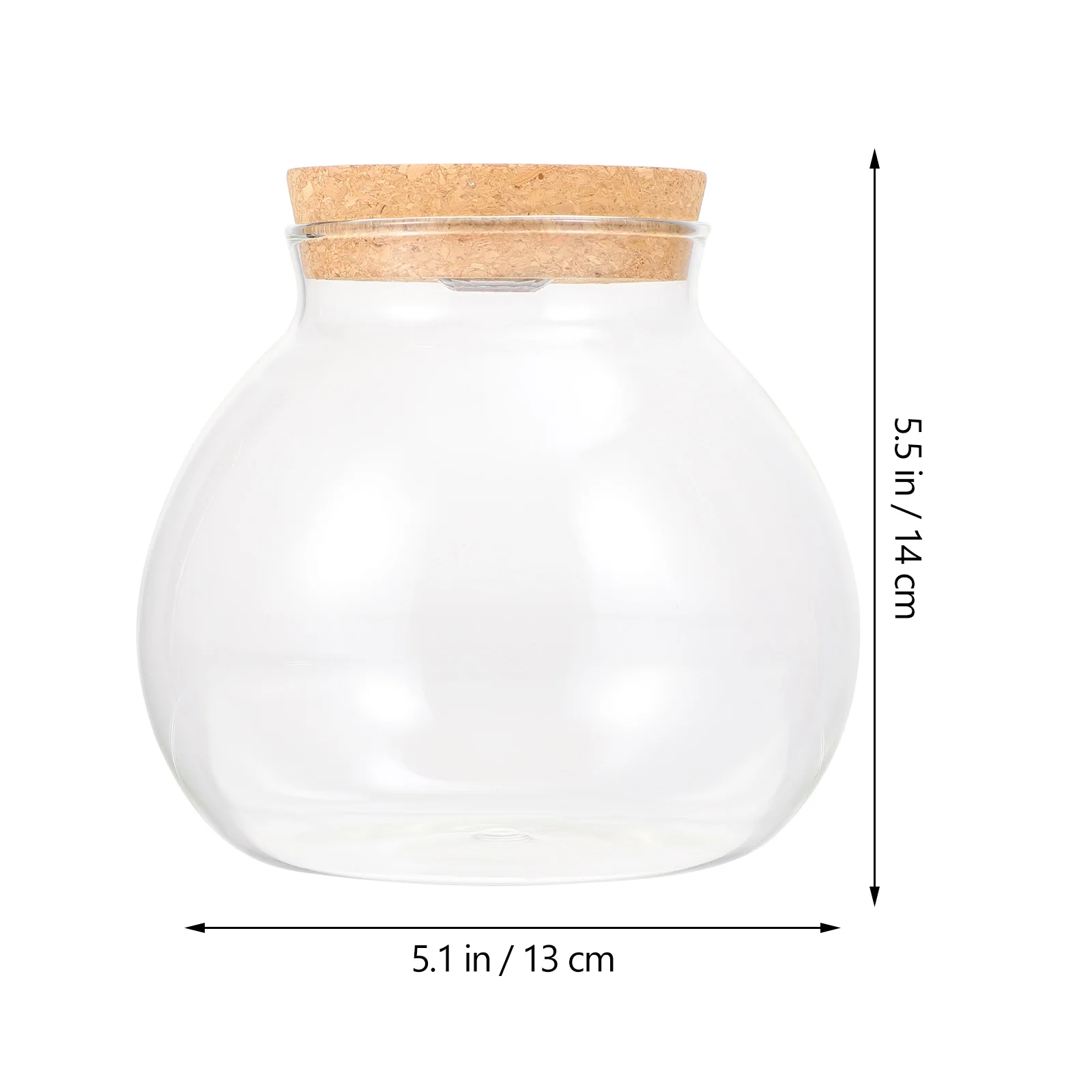 Фотография Детской бутылки ваза с горлышком фотография гидропонный Террариум