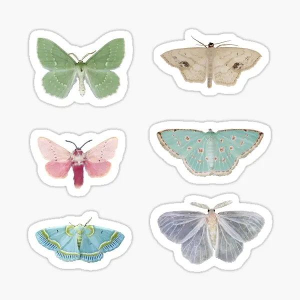 

Pastel Moths 5PCS Stickers for Art Home Funny Print Living Room Anime Room Water Bottles Wall Kid Stickers Window Bumper