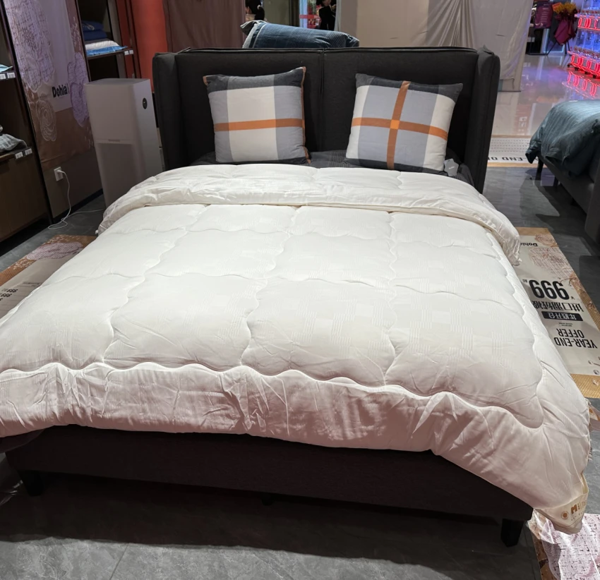 DUOXIAI Soybean Protein Fiber Duvet Insert Thickened Autumn and Winter Quilt Two-in-One Double Quilts Twin Spring ...