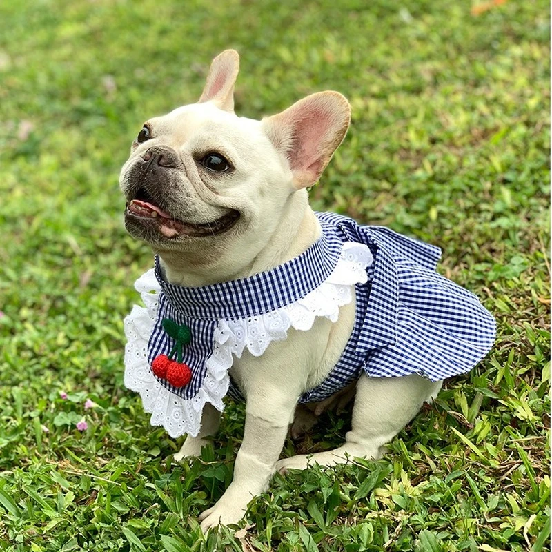 

Luxury Dog Dress Spring/Summer Pet Clothes Cotton Checkerboard Plaid Cat and Dog Onesie Various Sizes French Bulldog Chihuahua