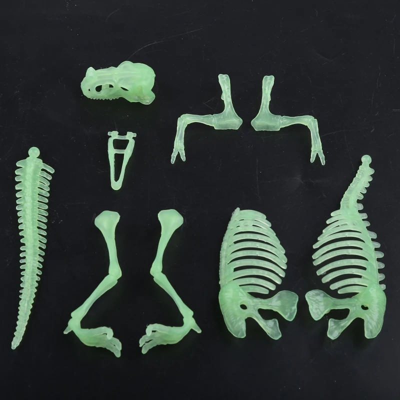 

Realistic Dinosaur Skeleton Fluorescent Dino for Fossil Figurine Model Animal Room Table Decor Boutique Collecti