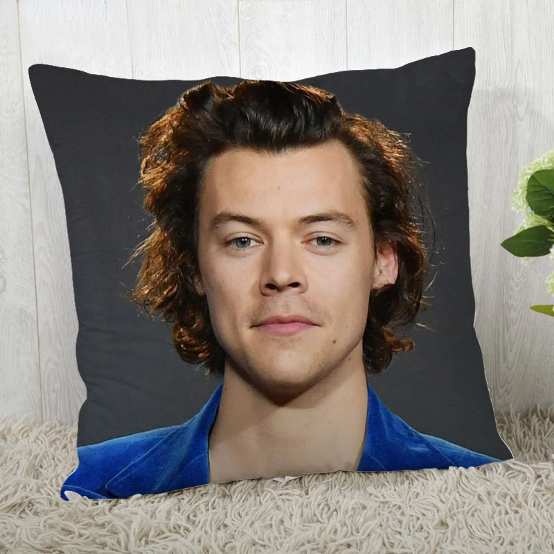 

Pillow-Cover-Customize-Harry-Style-Pillowcase Modern Home Decorative Pillow Case For Living Room 45X45cm