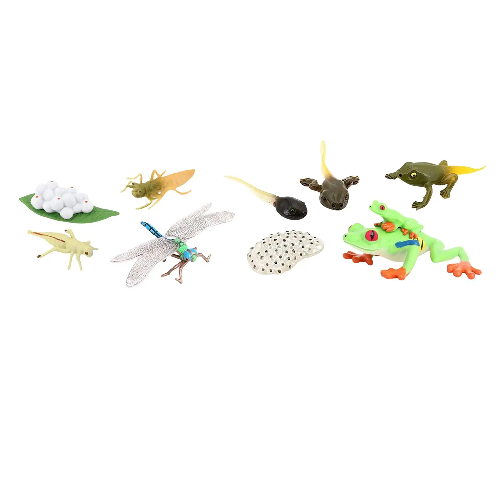 

life Cycle Figurines Dragonfly Figures for Boys Girls Preschool