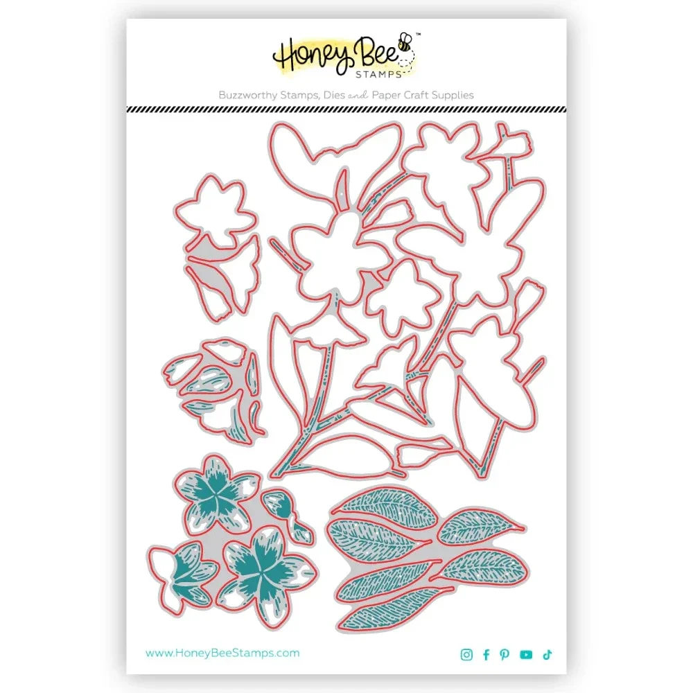 HonB Bold Background Plumeria Вырубные штампы для нового июня 2024 изготовление бумаги