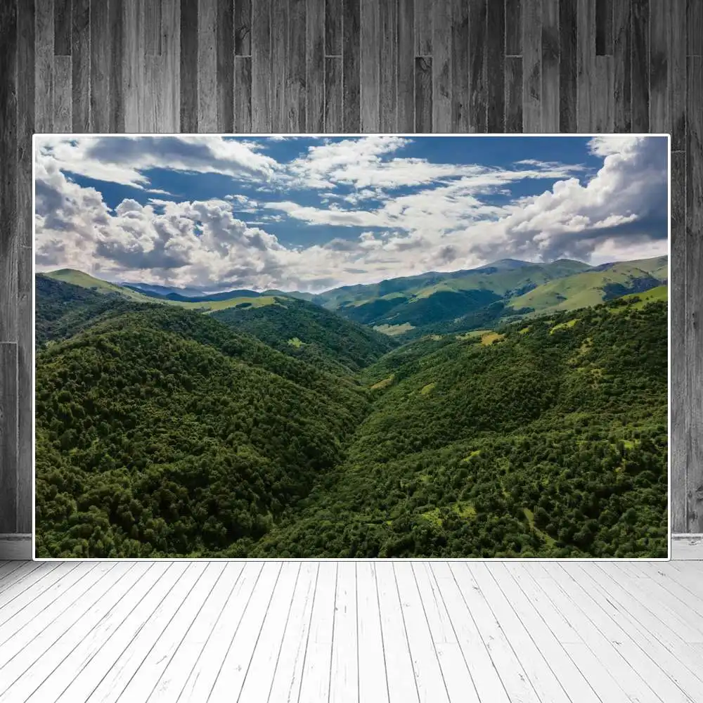 

Mountains Forest Bird View Photography Backdrops Decoration Cloudy Sky Landscape Custom Photocall Photographic Backgrounds Props