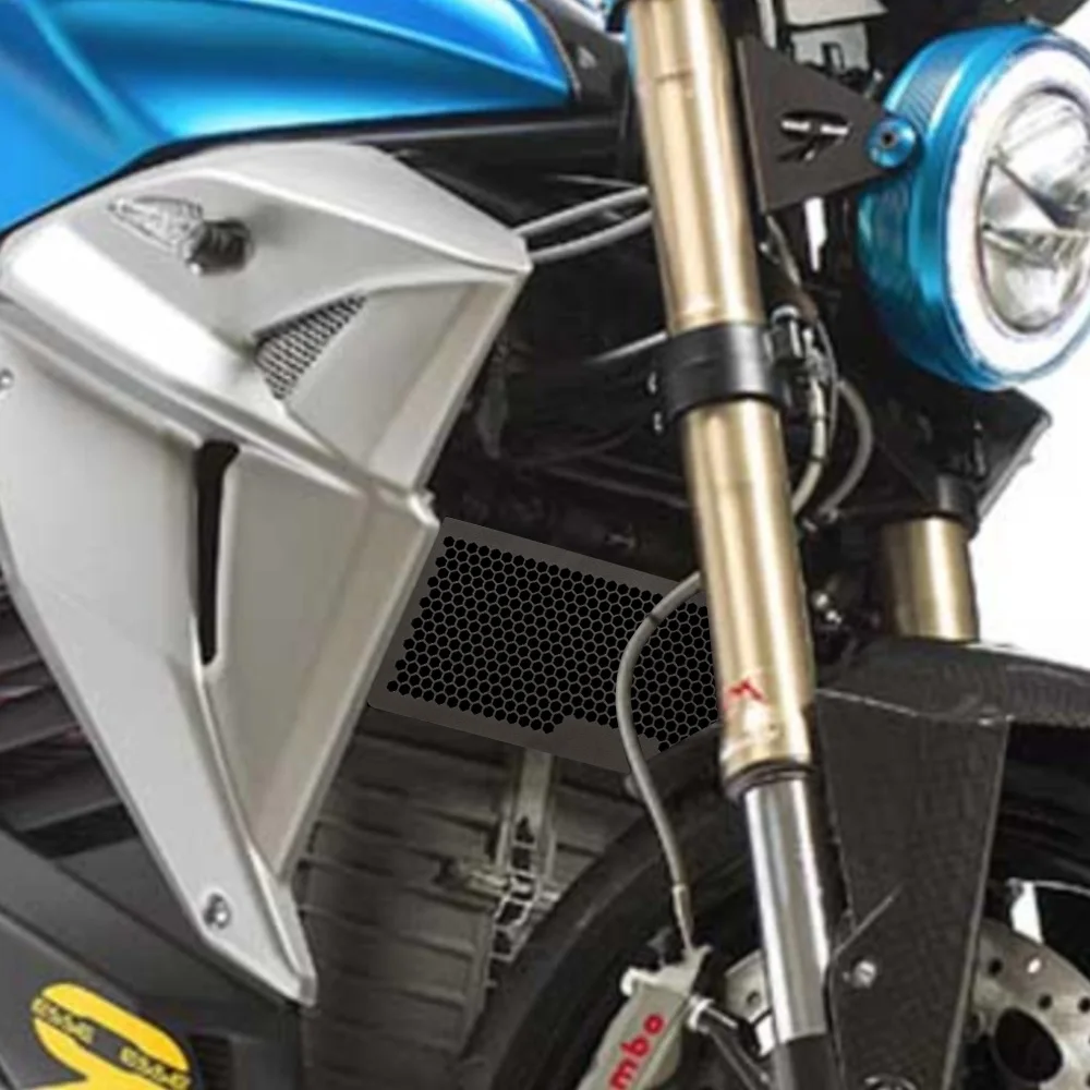 Для Energica EGO (+/+RS)/Eva Ribelle (RS)/Eva EsseEsse9 ✡ 2022 2023 2024 Защитная часть решетки радиатора