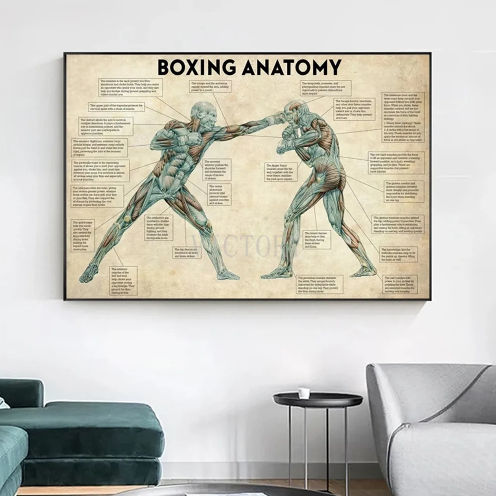 

Boxing Anatomy Posters and Prints Vintage Body Wall Art Canvas Painting for Gym Room Cuadros Home Decoration Boxing Lover Gift