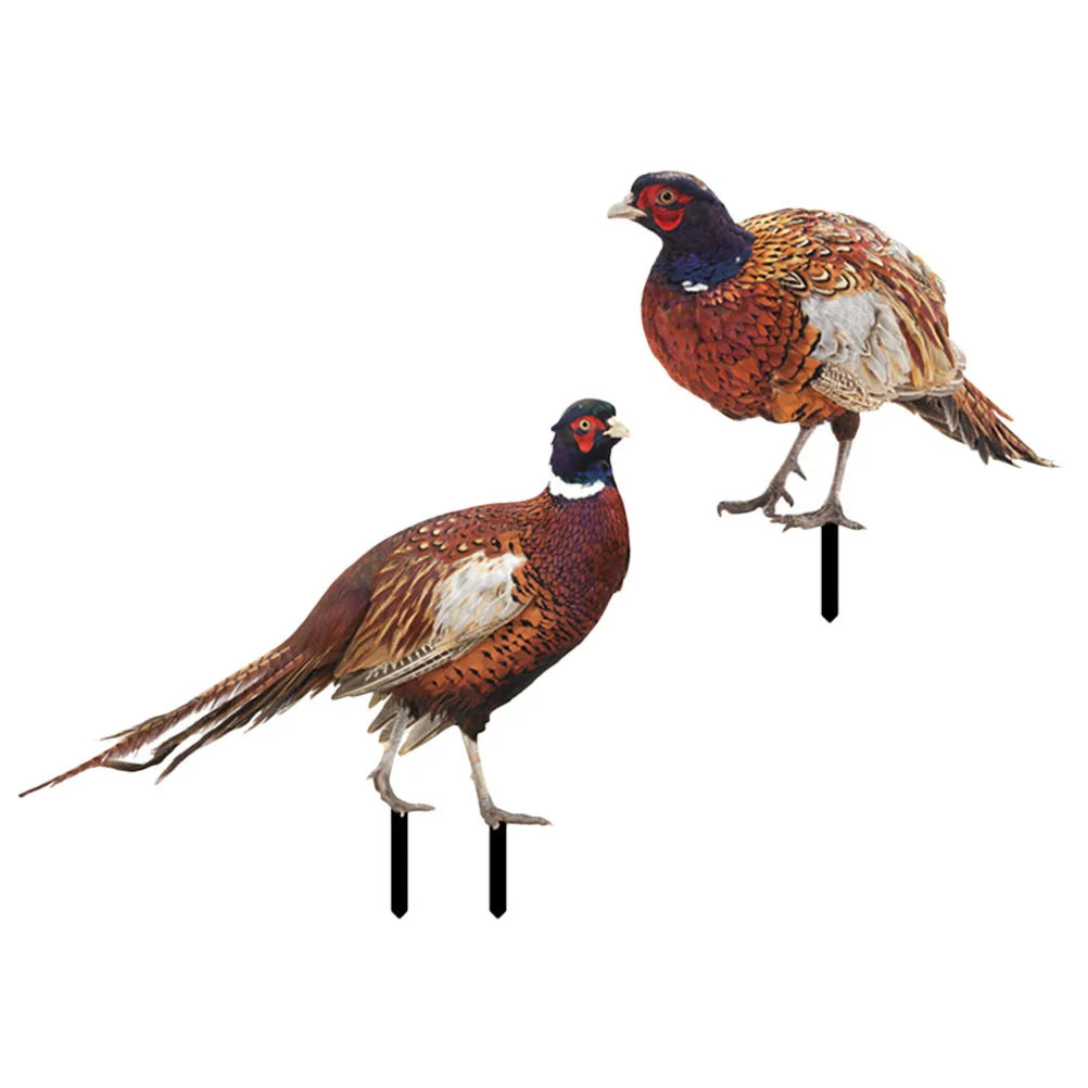 

2 Pcs Pheasant Garden Decoration Outdoor Statues Chicken Garden Statue Metal Garden Sculpture Acrylic Chicken Yard