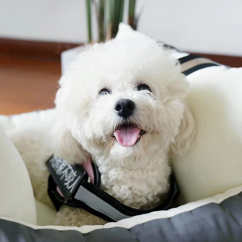 Автомобильное сиденье для собак и кровать путешествий с ремнем безопасности