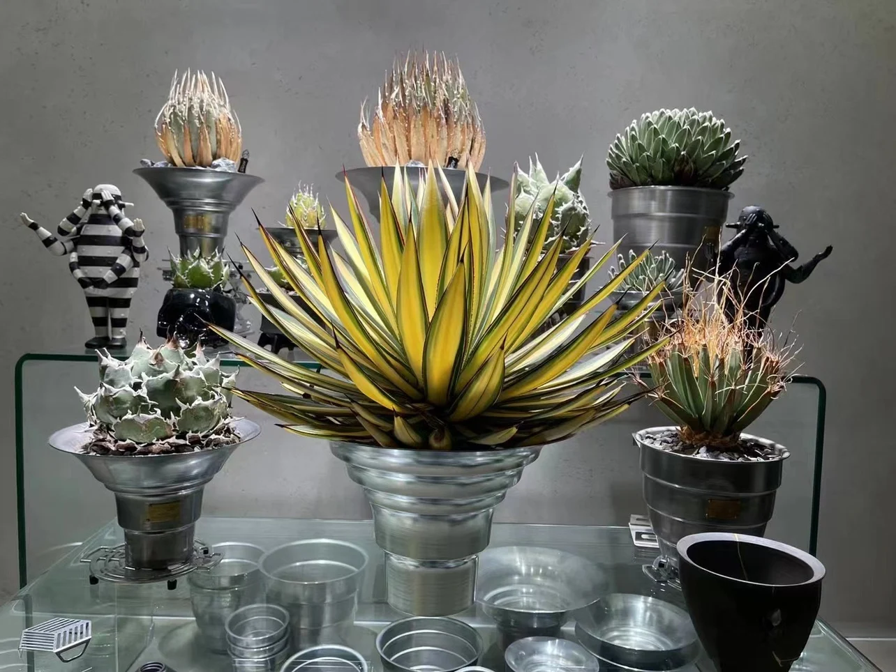 Цветочный горшок кактус прямая трубка растение-суккулент в уличном стиле