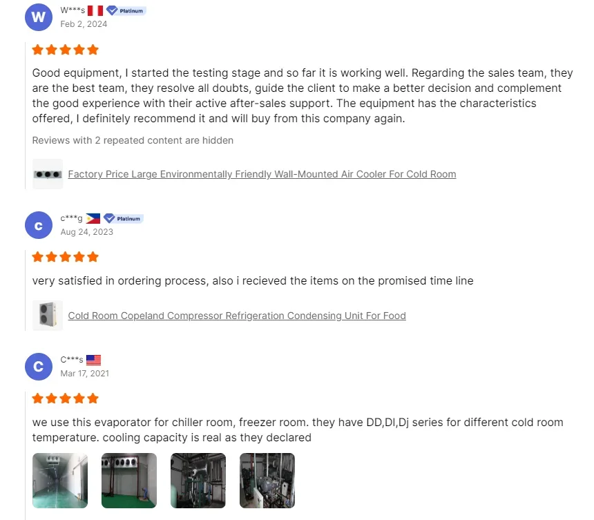 Низкотемпературная промышленная машина для охлаждения воды Охладитель с