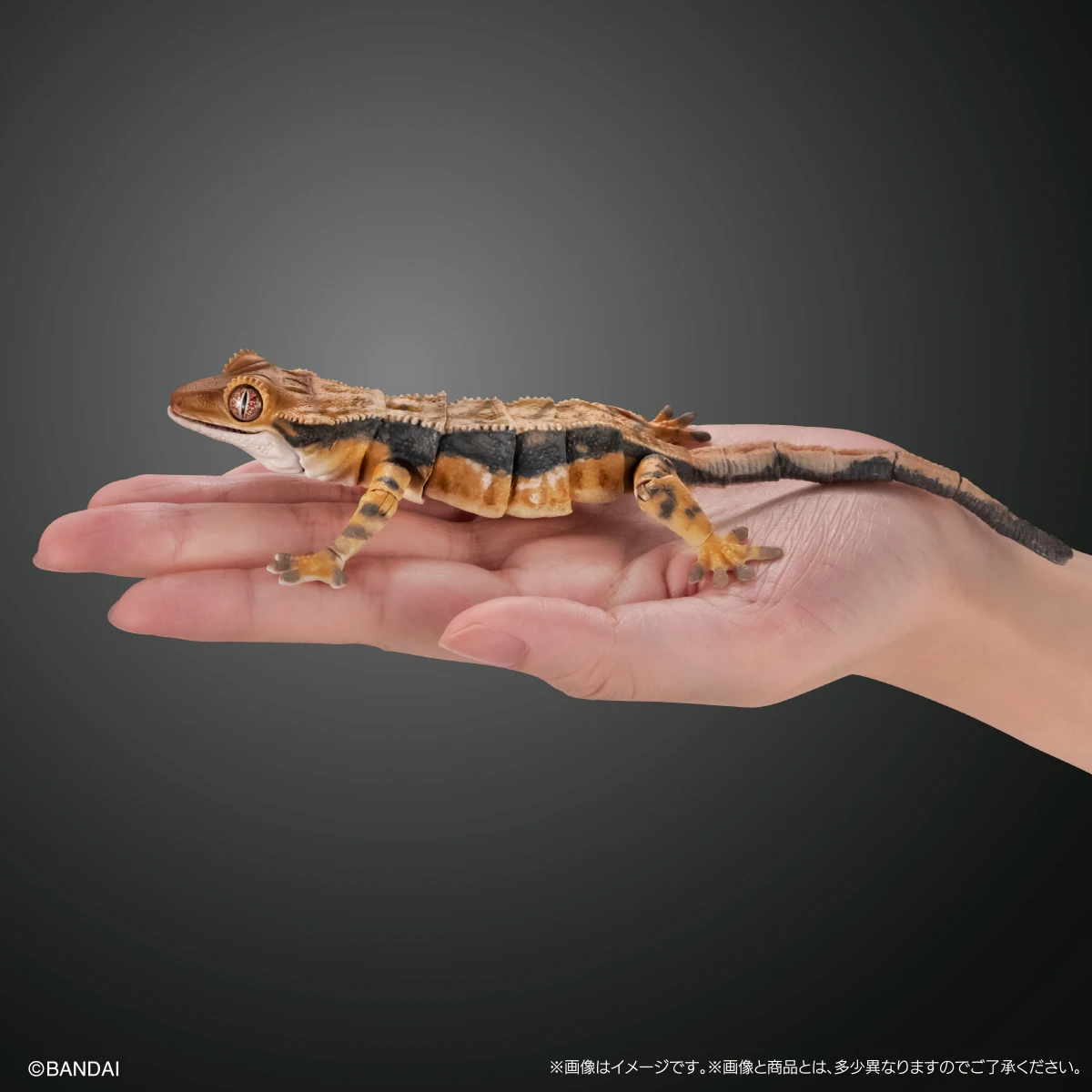 Bandai Gashapon биографическая энциклопедия фигурки Gecko 02 Имитация животных подвижные