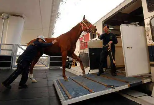 Рисунок 5 - 2023 г., большой грузоподъемности