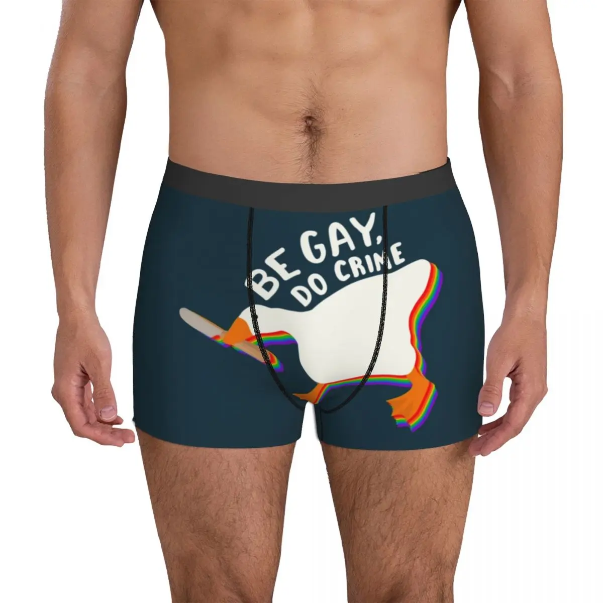 

Be Gay Do Crime Untitled Goose Underwear lgbtq lgbt lesbian true crime 3D Pouch High Quality Boxer Shorts Print Boxer Brief Man