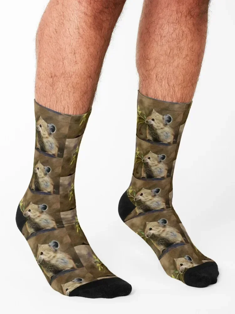 Северноамериканские носки с Пикой зимние подарки крутые для женщин и мужчин