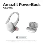 Подарочный пакет Amazfit Powerbuds TWS беспроводные наушники-вкладыши с пульсометром Bluetooth совместимые наушники для iOS Android