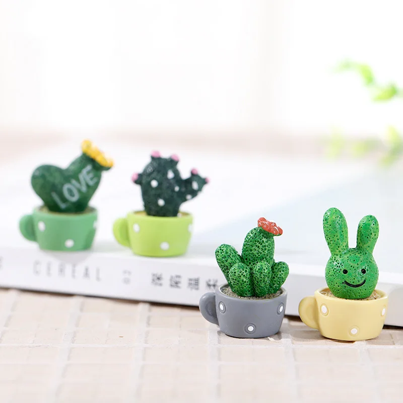 Мини Кактусы В Горшках Купить